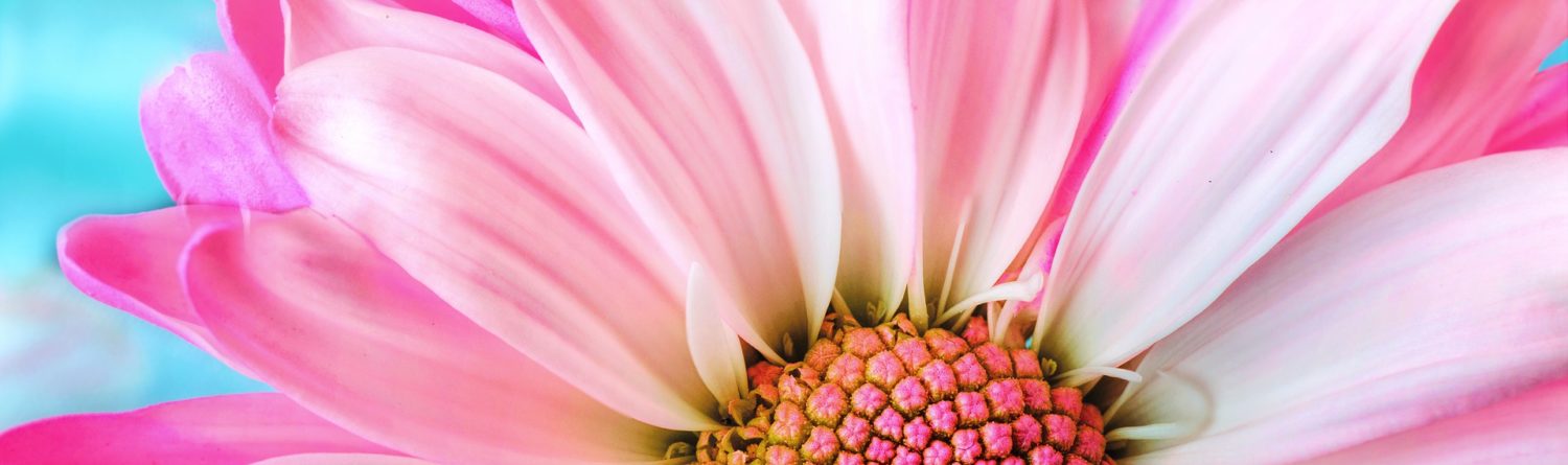 Voetreflexologie afbeelding